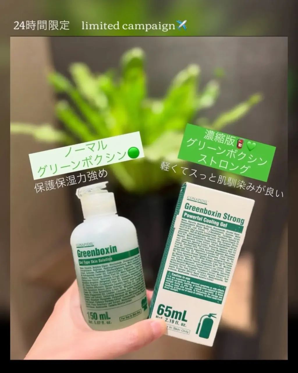 🚨 グリーンボクシンの使い方、間違えて沼ってる人いない？🤣🩵